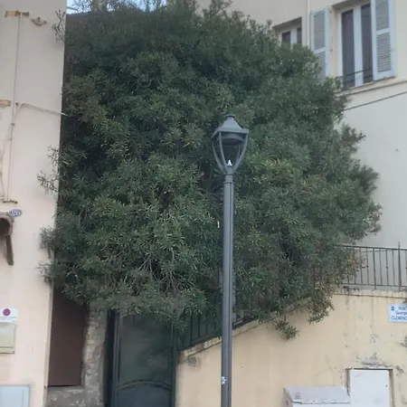 Joli Sur Le Port Cannes